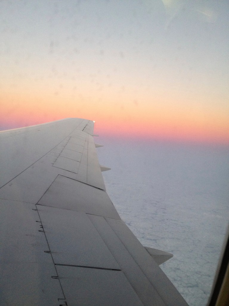 Image Source: Alison Farmer 2014